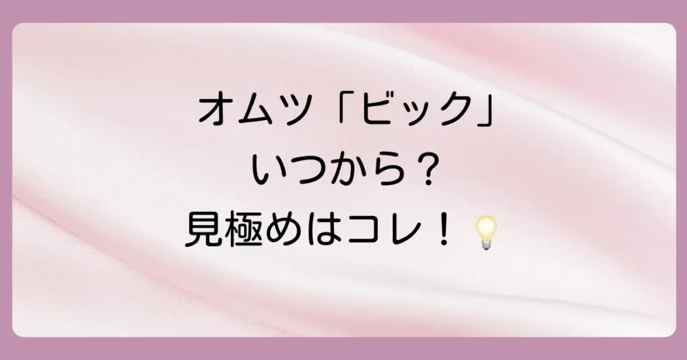 オムツの「ビック」はいつから？切り替えの目安はコレ！